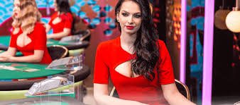 Responsible European roulette browsing on v7v7 apk for adult Bangladesh users